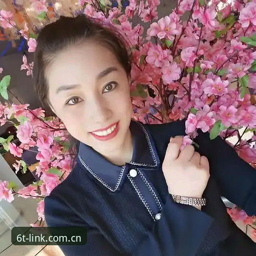 资深用户分享：世界杯观赛受阻背后的签证困局——“冷场”赛事下的6t体育平台观赛心得